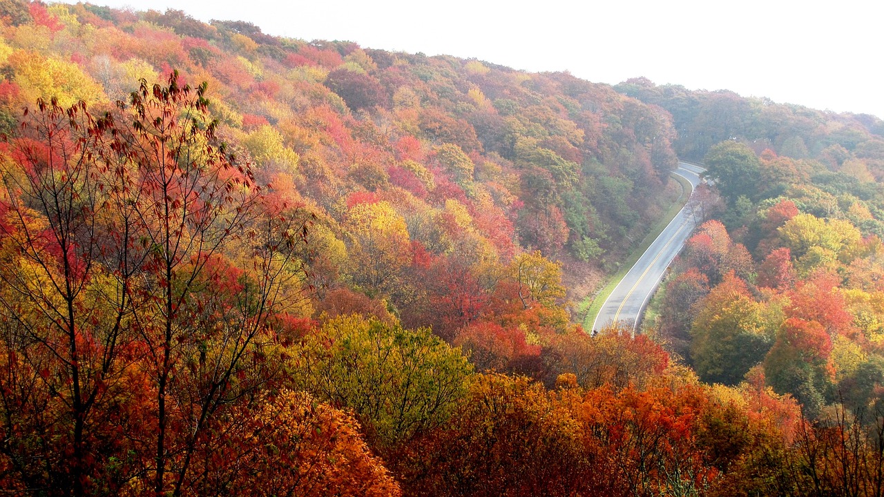 fall colors in kernersville, NC
