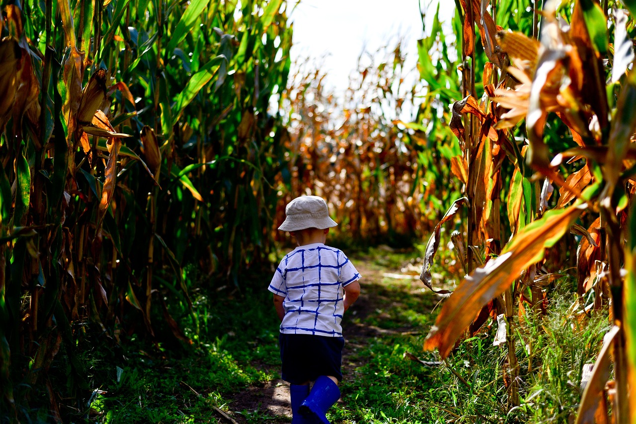 Admission, Activities, and More: Your Complete Guide to Smith Hollow Farm's Fall Events